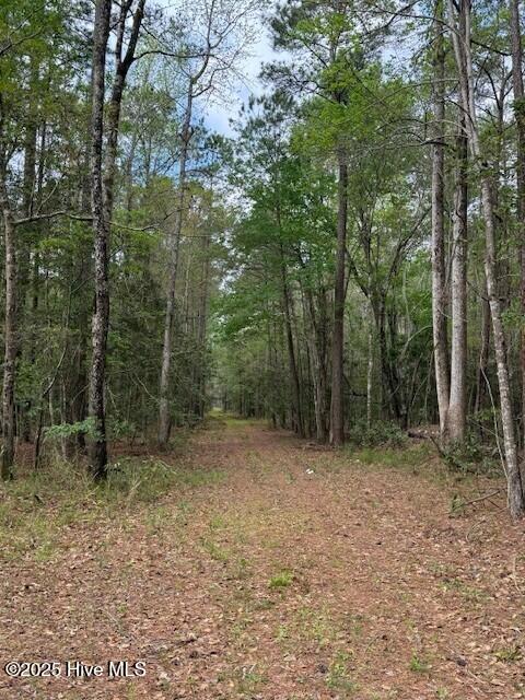 665 & 637 Bell Point Road Property Photo 17
