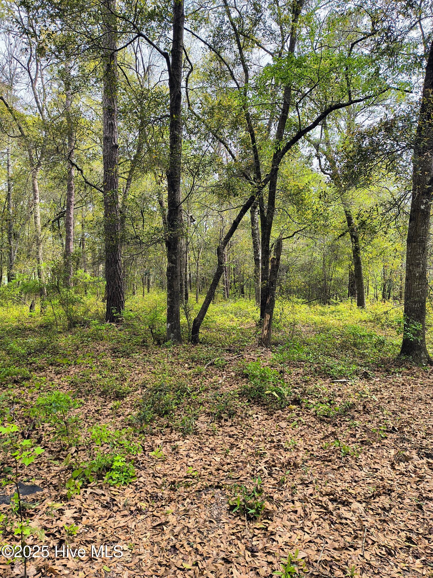 779 Cypress Lakes Circle Property Photo 2