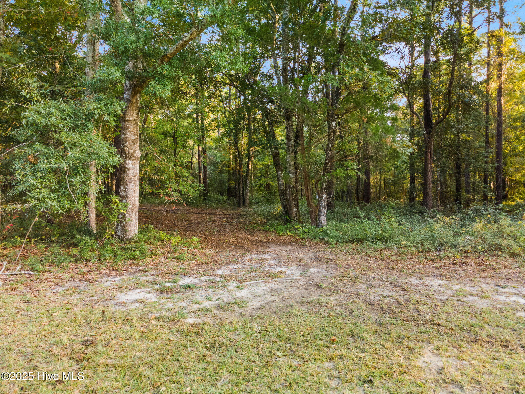 779 Cypress Lakes Circle Property Photo 3