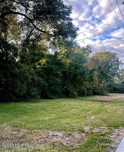 Lot 53 S Pine Street Property Photo 3