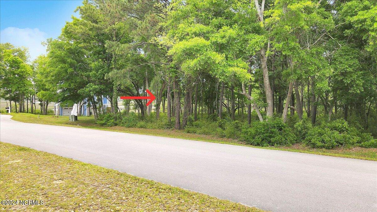 2021 Healing Water Lane Property Photo 11