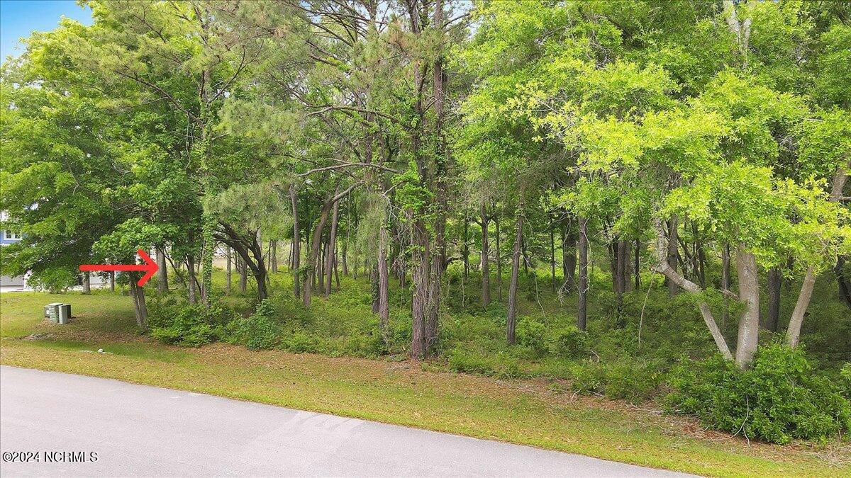 2021 Healing Water Lane Property Photo 12