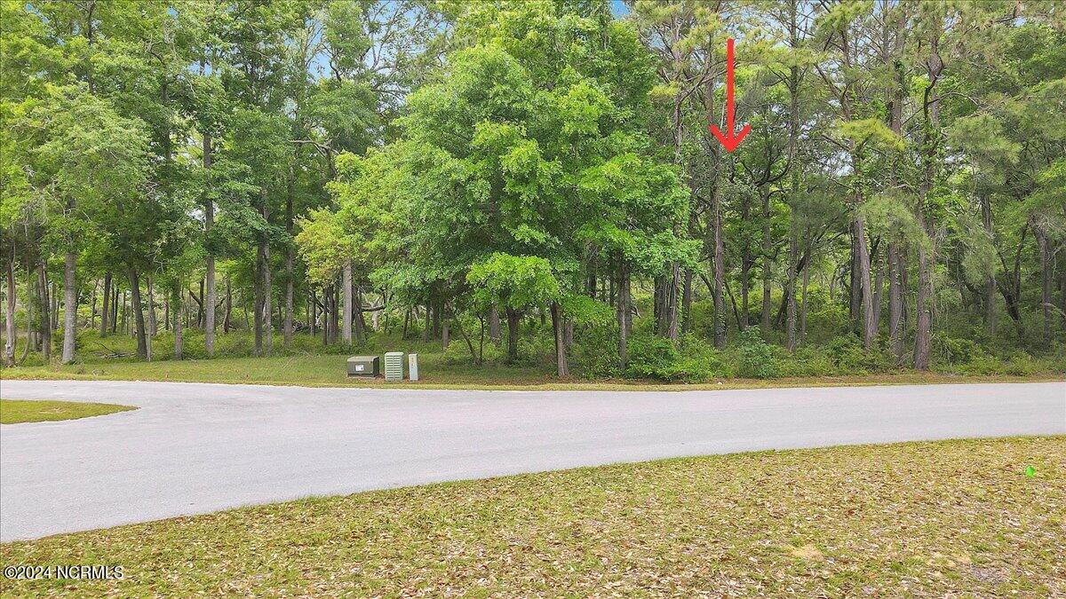 2021 Healing Water Lane Property Photo 13