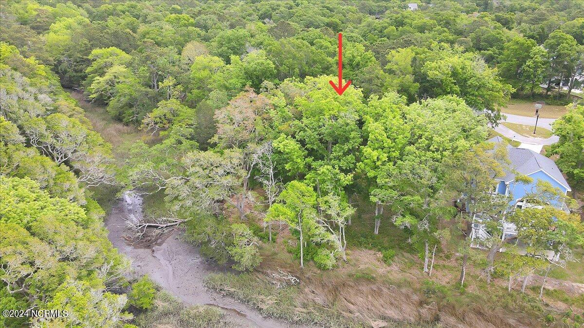 2021 Healing Water Lane Property Photo 15