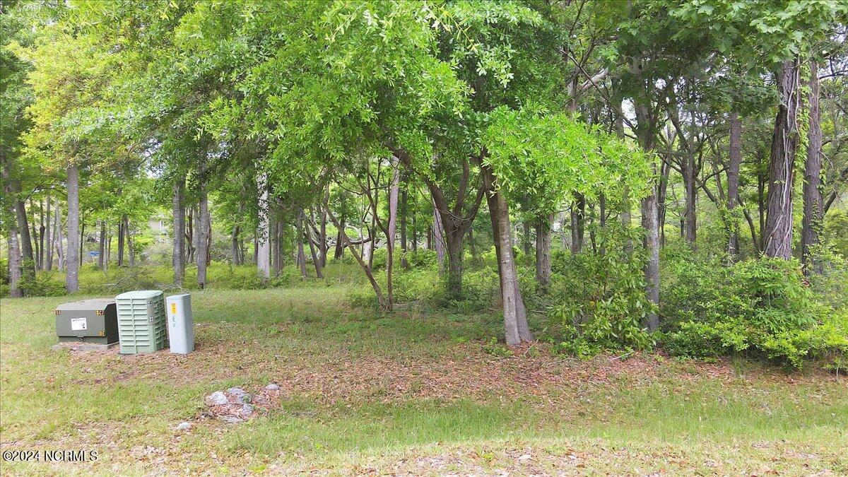 2021 Healing Water Lane Property Photo 18