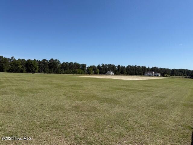 549 Grande Pines Vista Property Photo 90