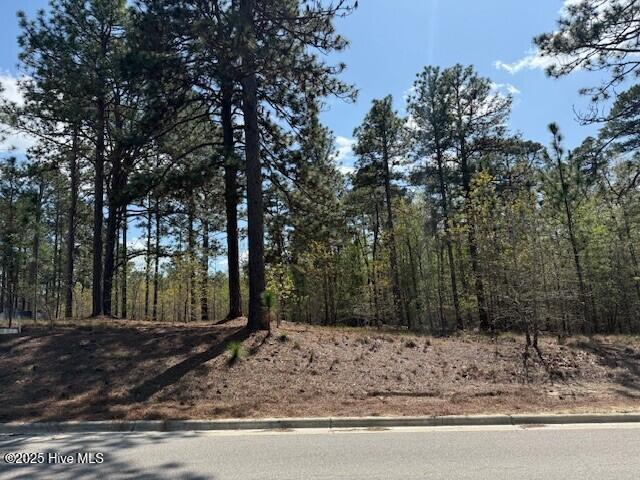19 Ridgeland Street Property Photo