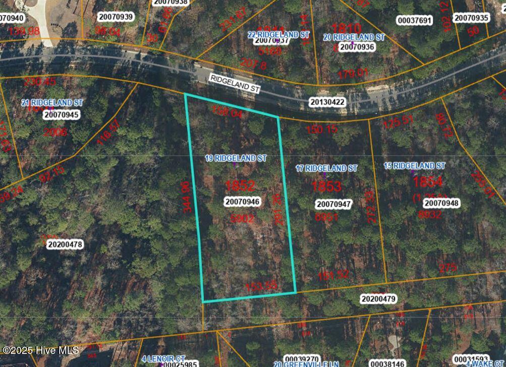 19 Ridgeland Street Property Photo 2