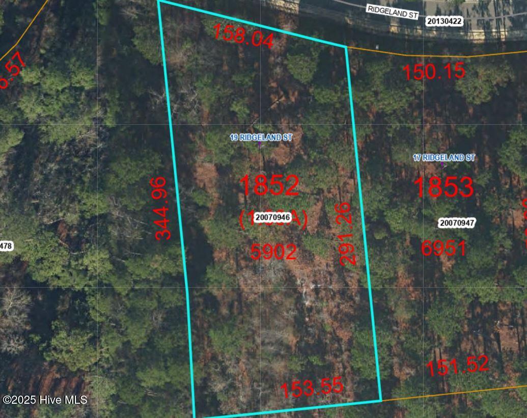 19 Ridgeland Street Property Photo 3