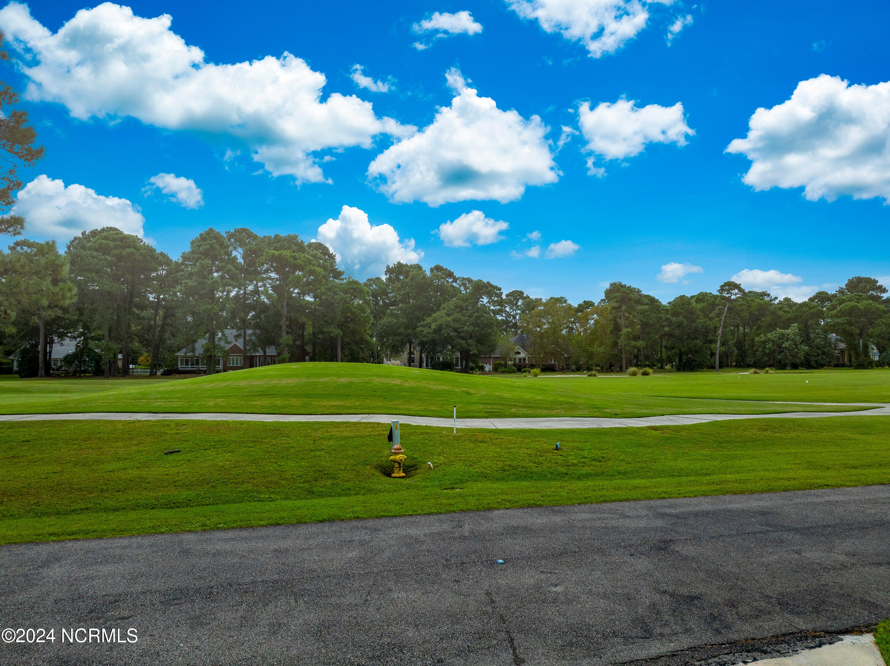 3184 Wild Azalea Way Property Photo 59