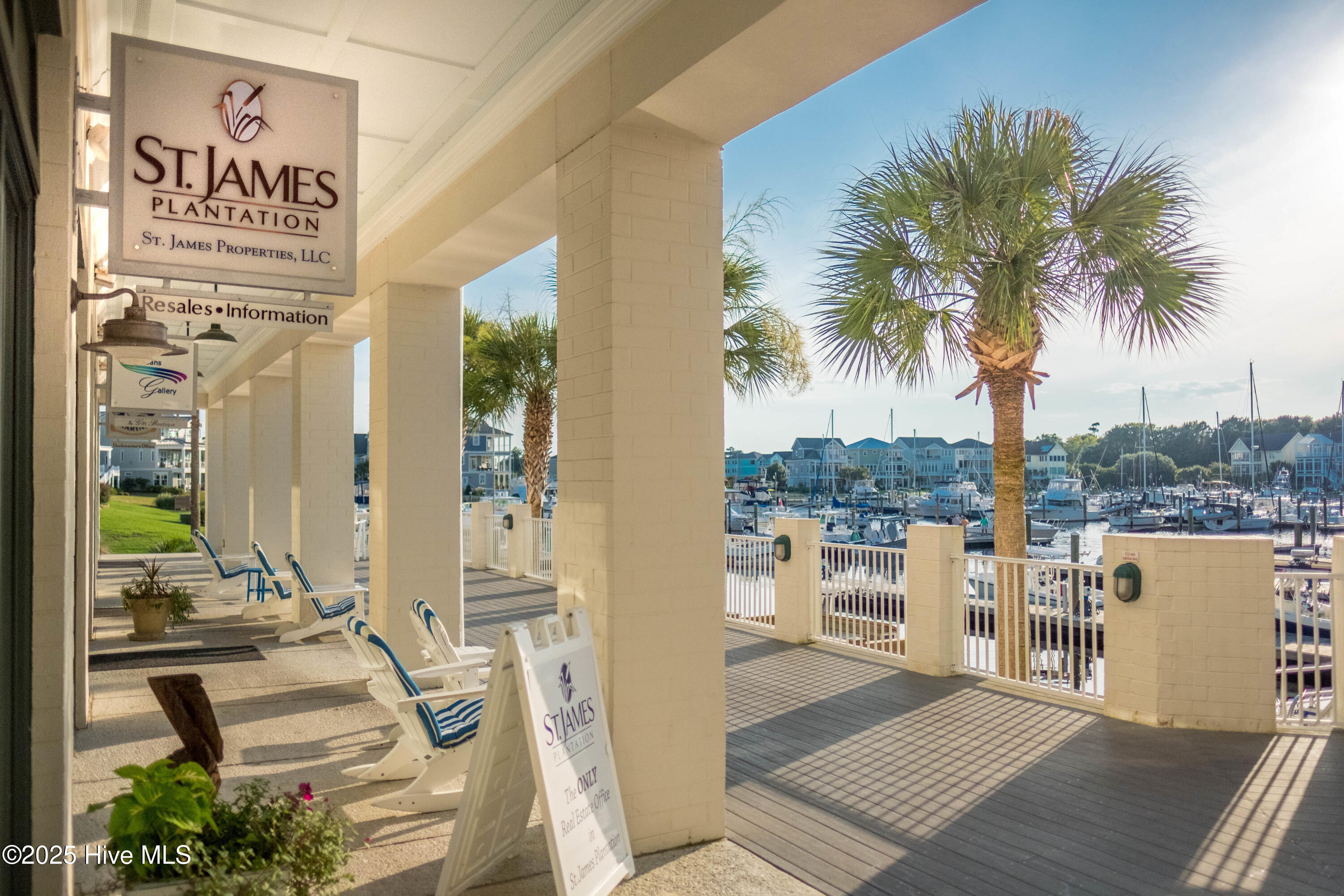 3184 Wild Azalea Way Property Photo 67