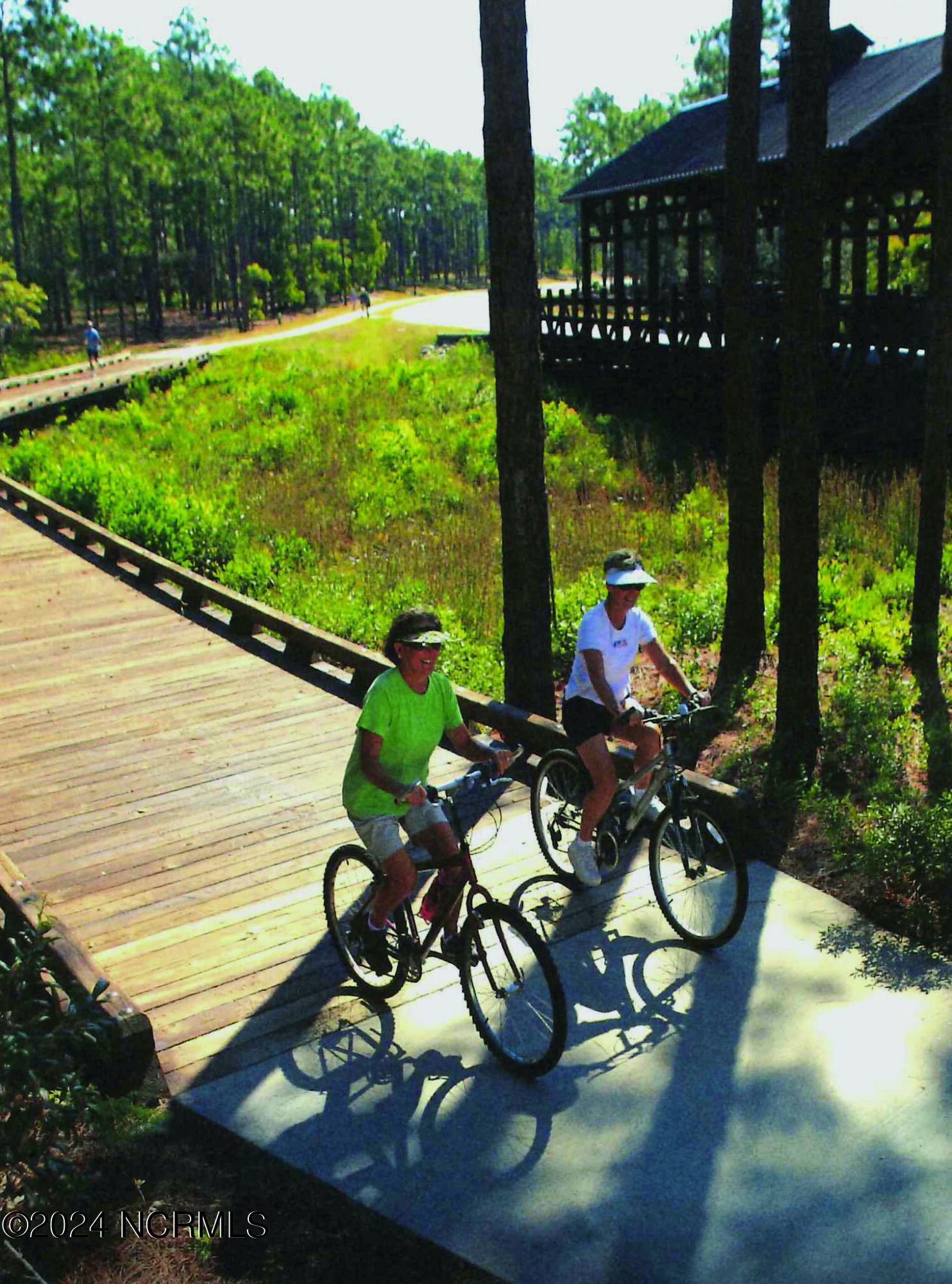 3184 Wild Azalea Way Property Photo 82