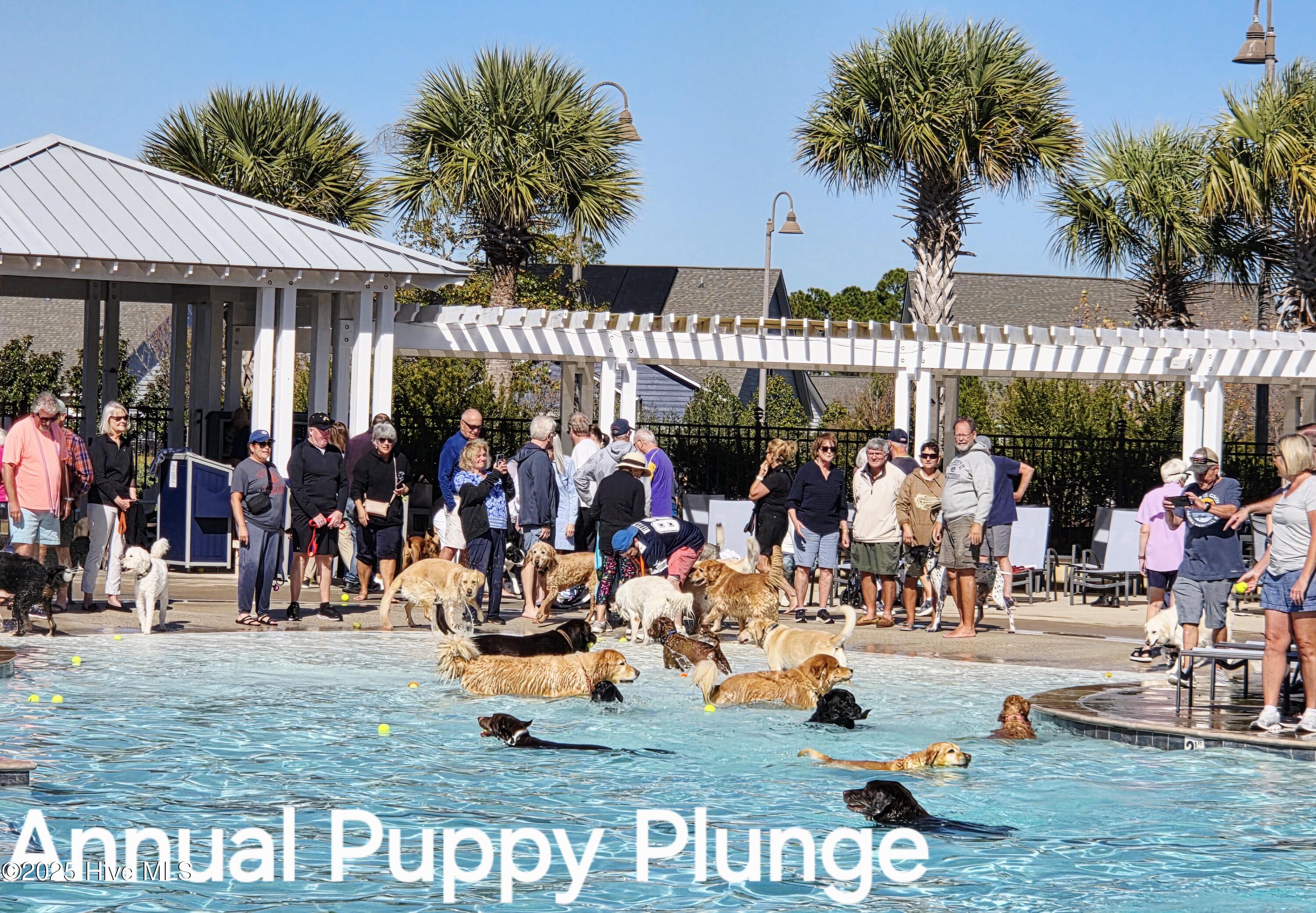 3184 Wild Azalea Way Property Photo 89