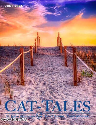 3184 Wild Azalea Way Property Photo 93