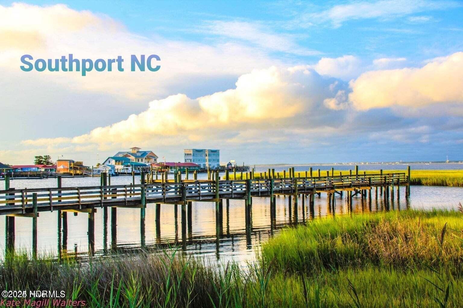 3184 Wild Azalea Way Property Photo 94