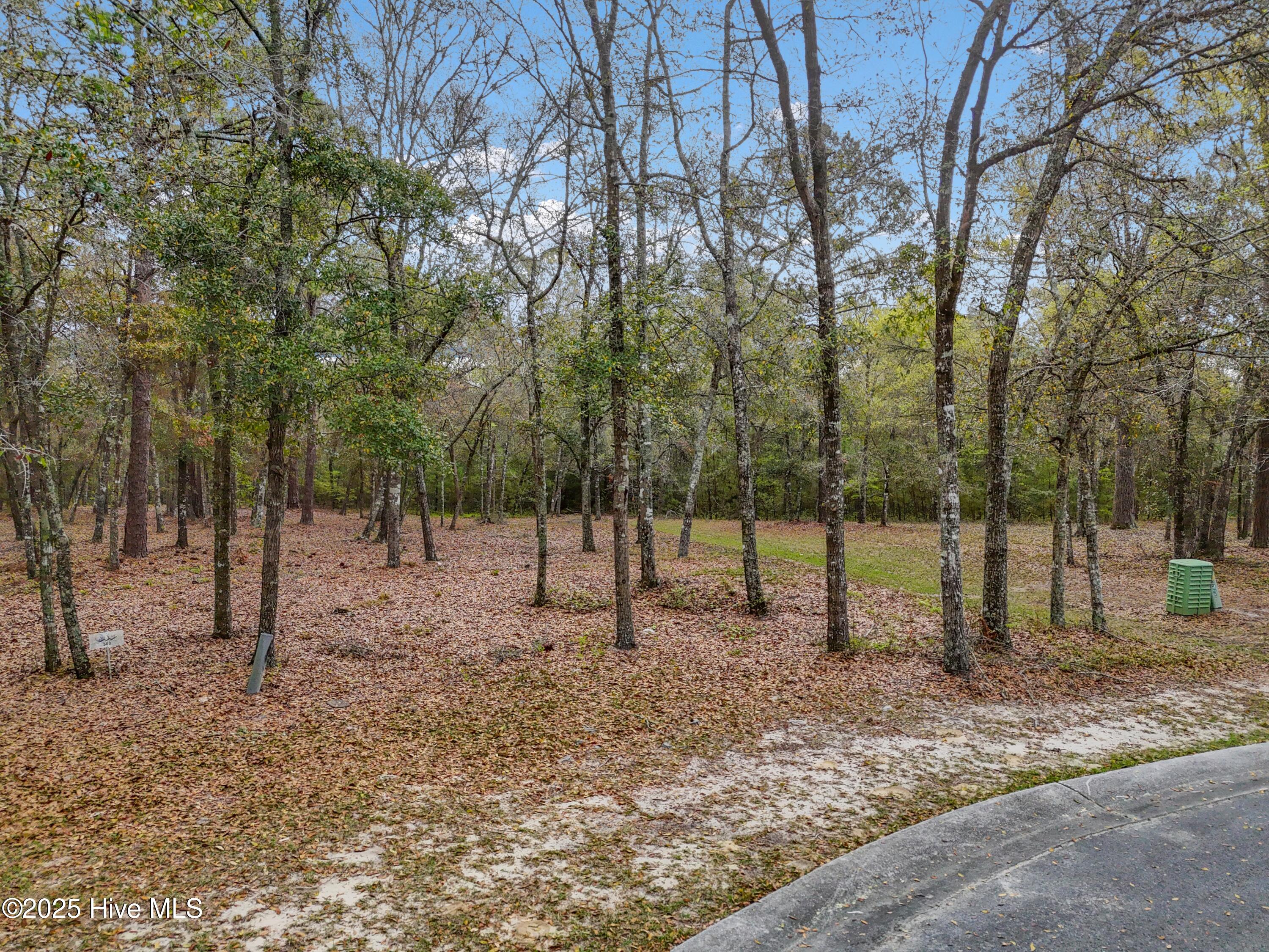 584 Asphodel Dr & Slip 35 Property Photo 2