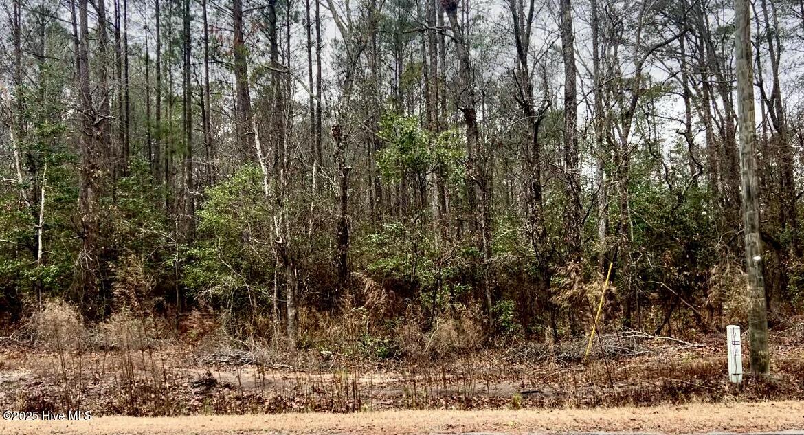 4ac Near Keith Rd & Canetuck Rd Road Property Photo 4