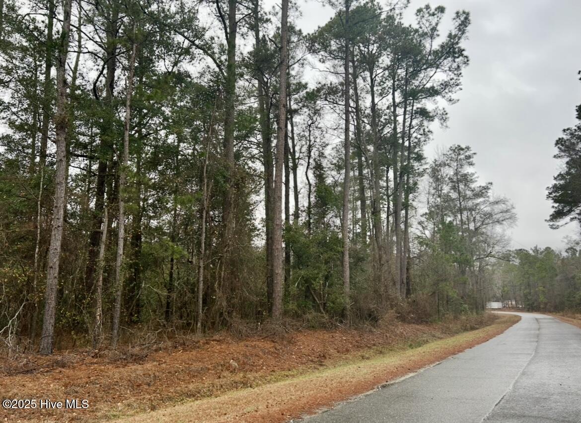 4ac Near Keith Rd & Canetuck Rd Road Property Photo 5