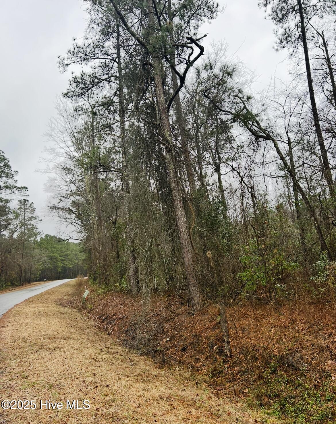 4ac Near Keith Rd & Canetuck Rd Road Property Photo 6