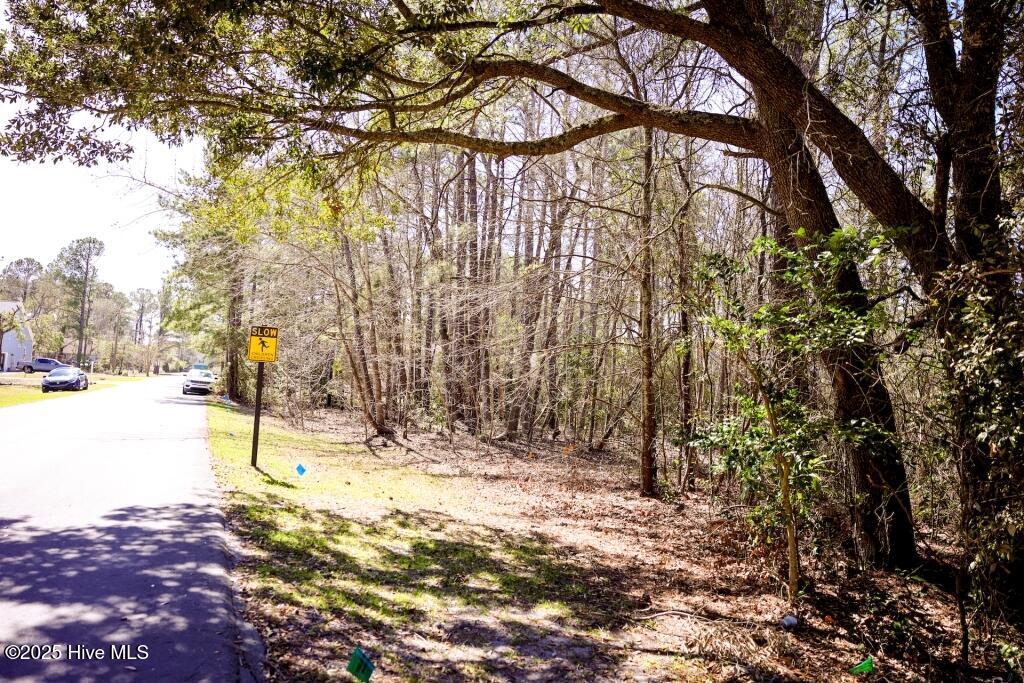 801 Black Swan Road Property Photo 4