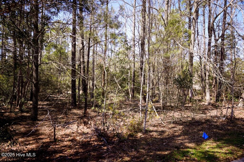 801 Black Swan Road Property Photo 10