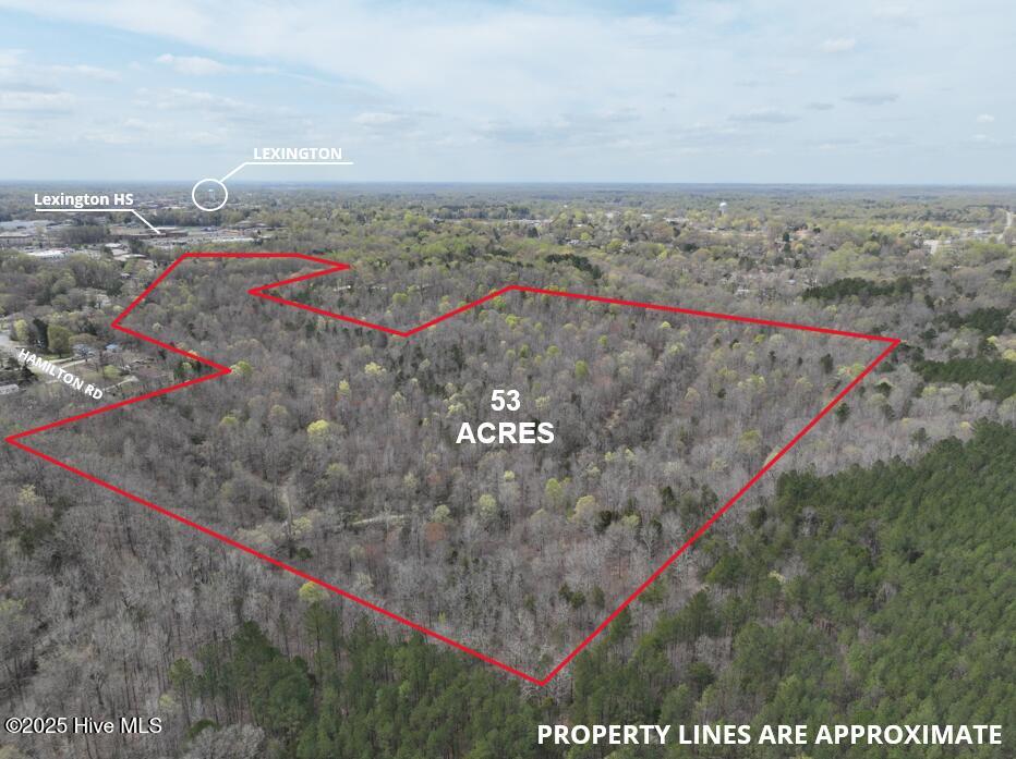 Tbd Hamilton Road Property Photo 2