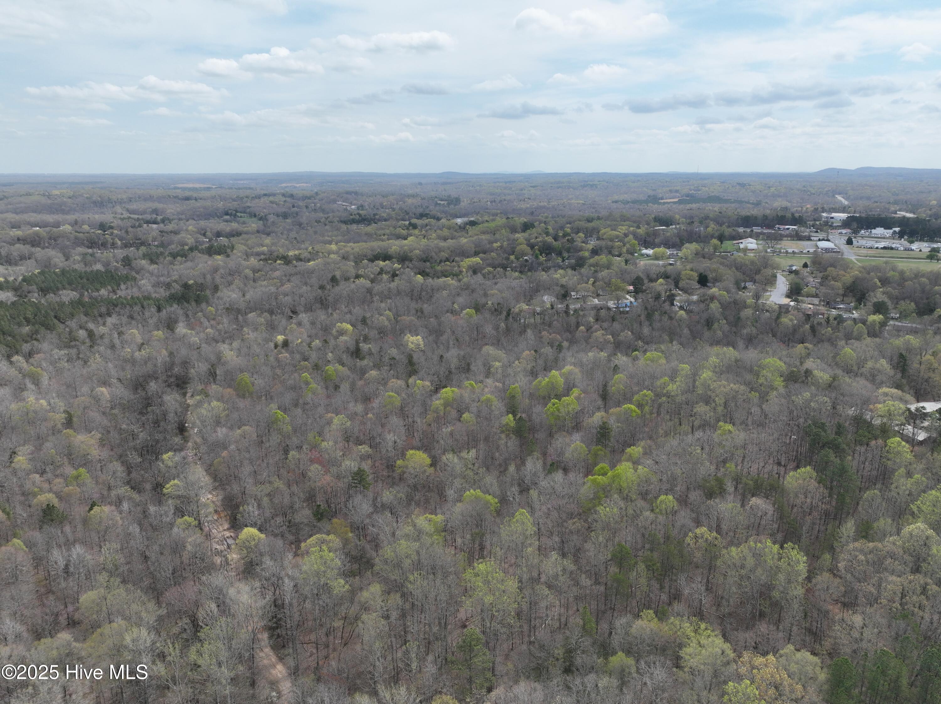 Tbd Hamilton Road Property Photo 5