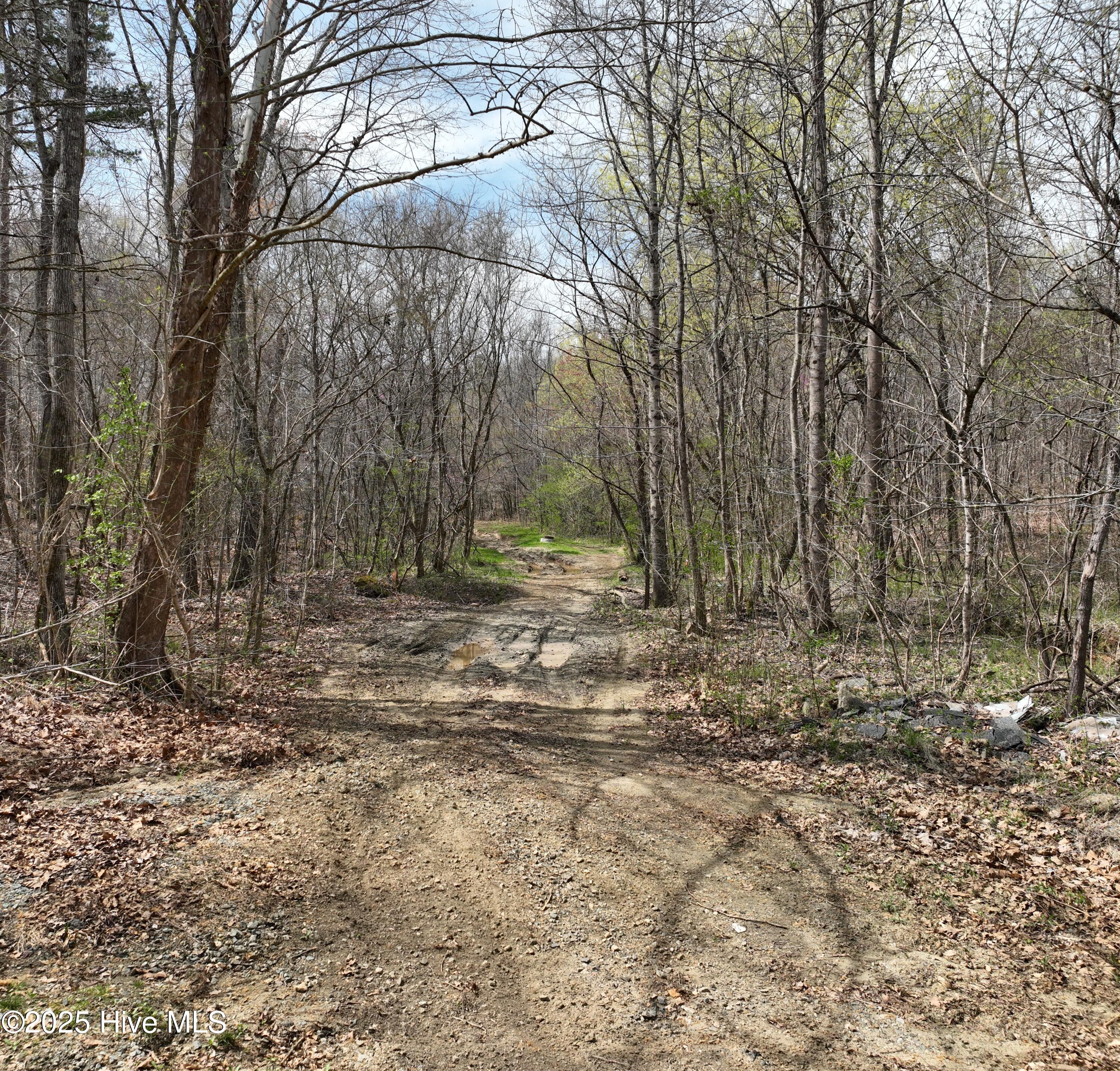 Tbd Hamilton Road Property Photo 9