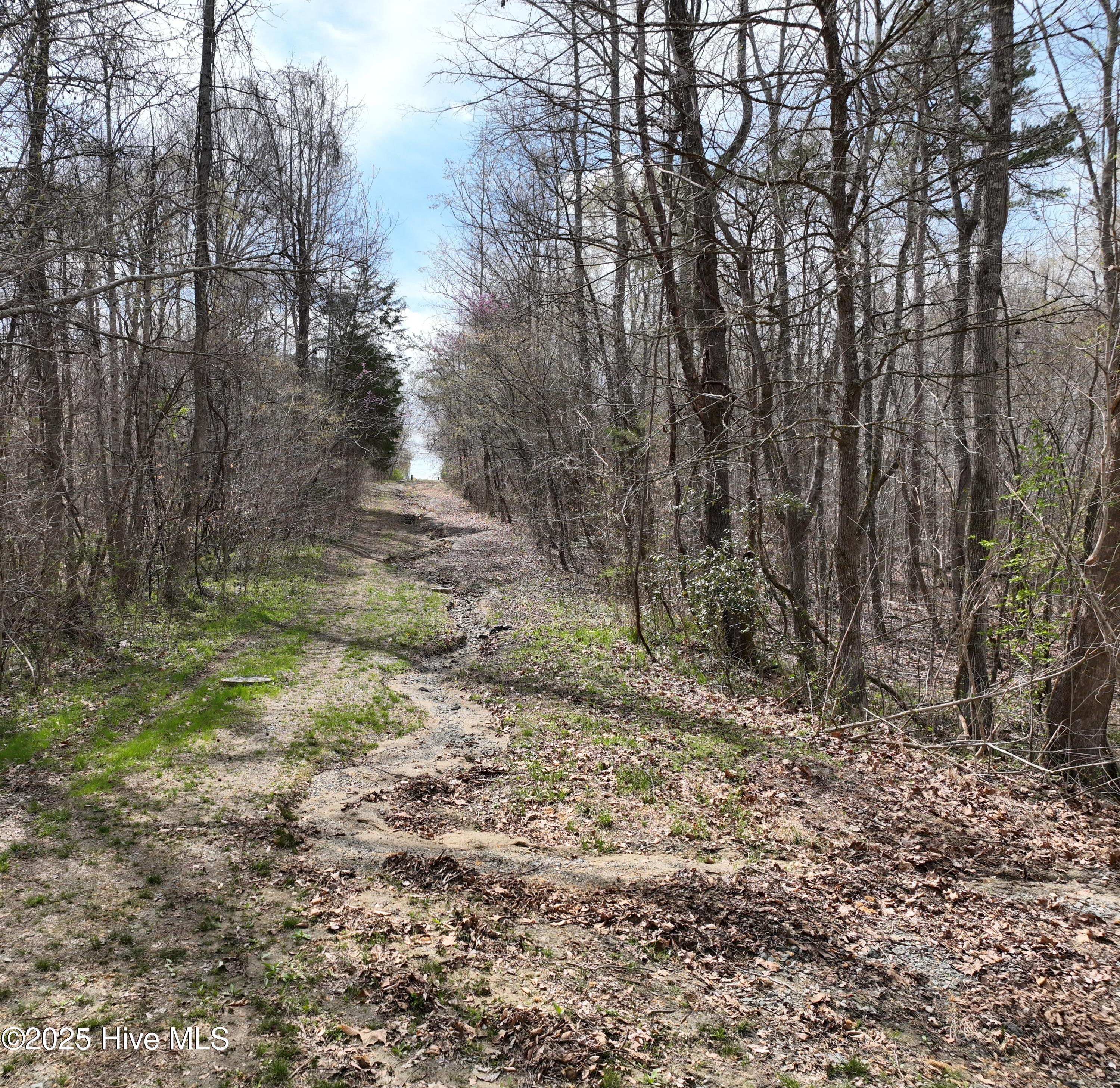 Tbd Hamilton Road Property Photo 11