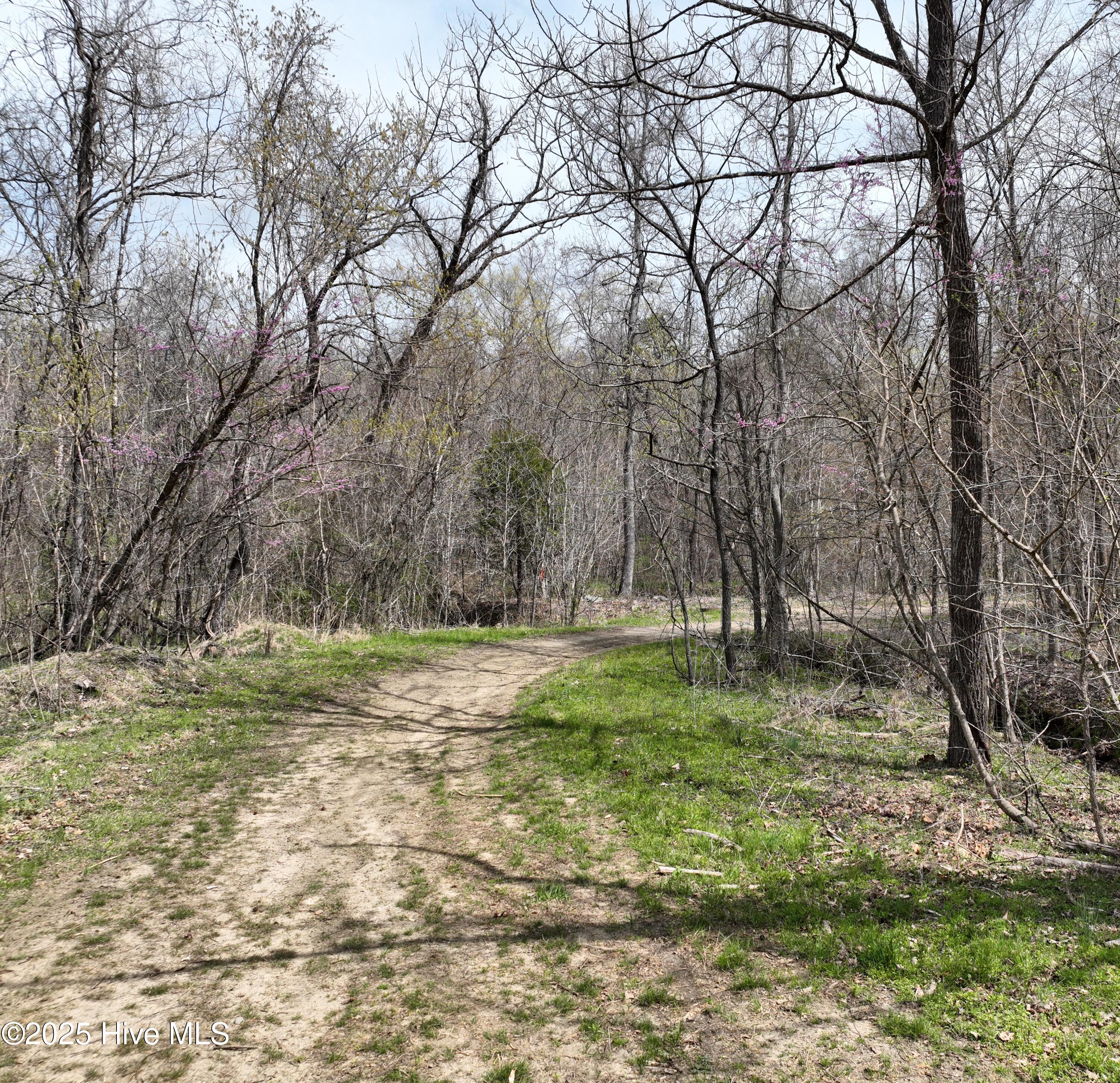 Tbd Hamilton Road Property Photo 12