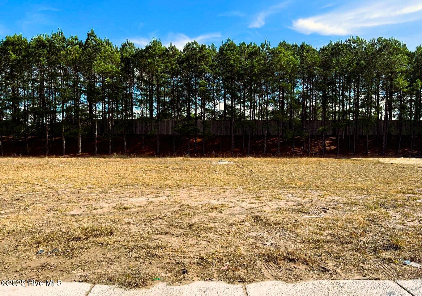 2197 Palm Pointe Property Photo 1