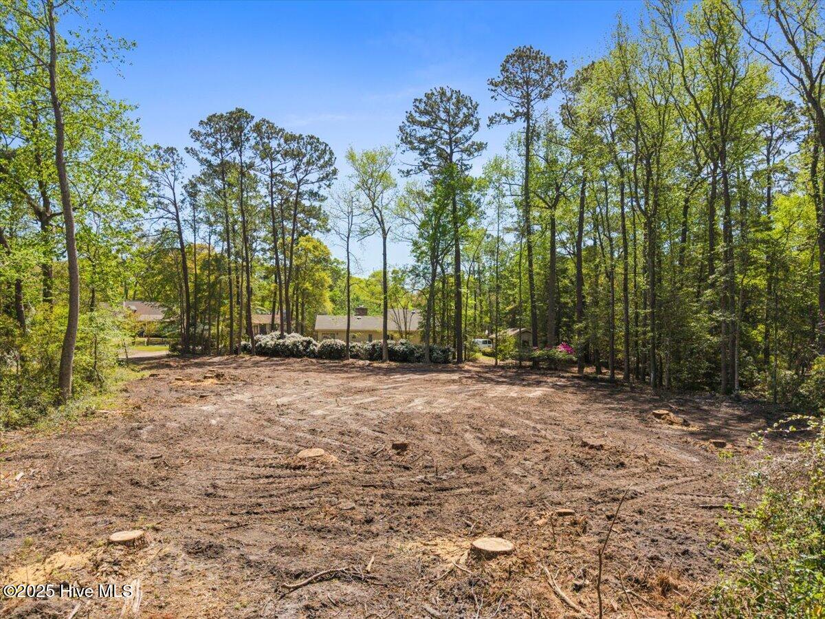 9136 Forest Drive Property Photo 3