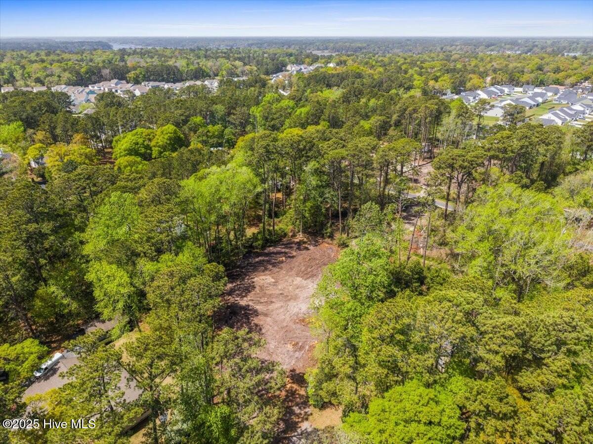 9136 Forest Drive Property Photo 4