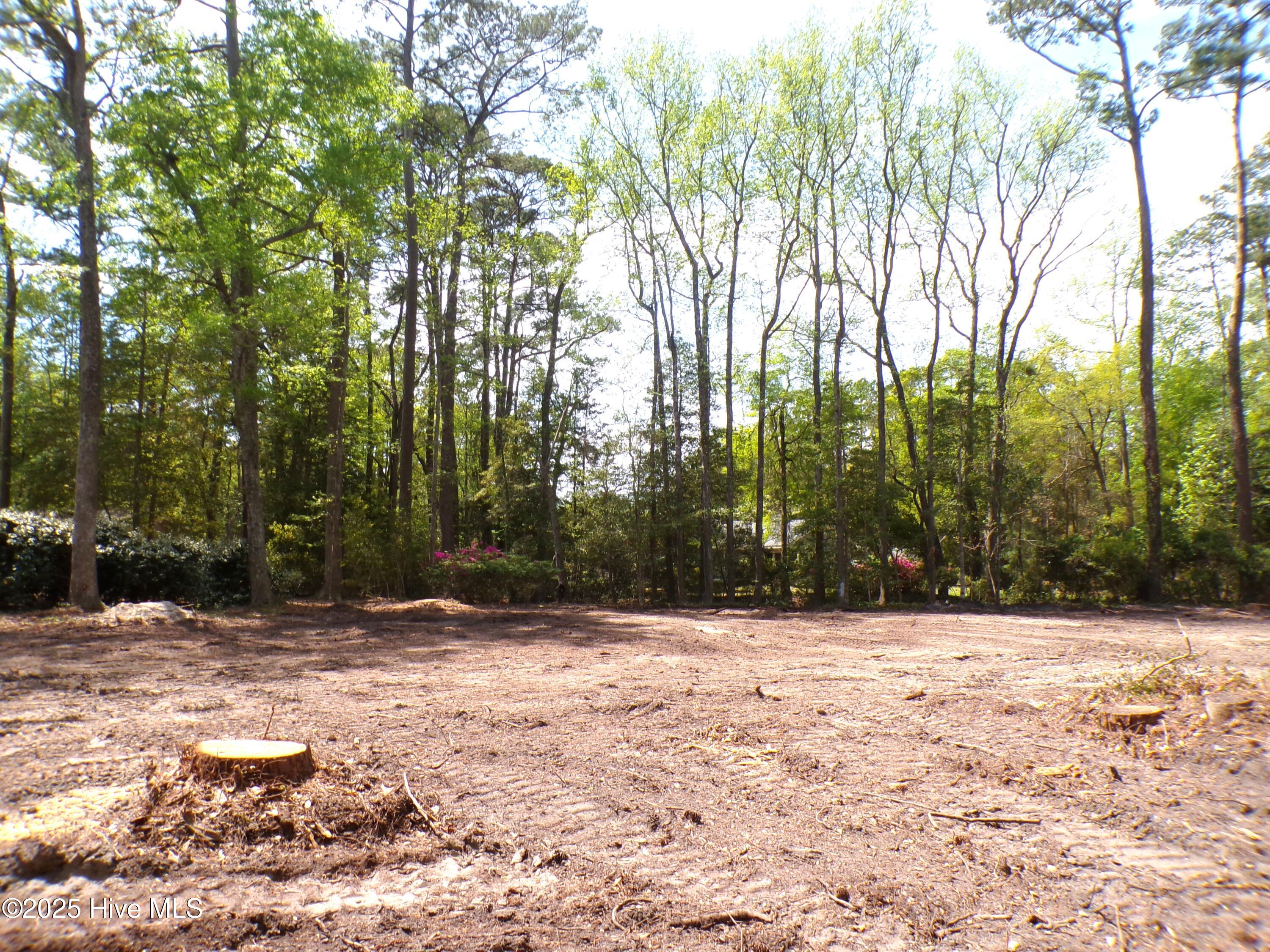 9136 Forest Drive Property Photo 5
