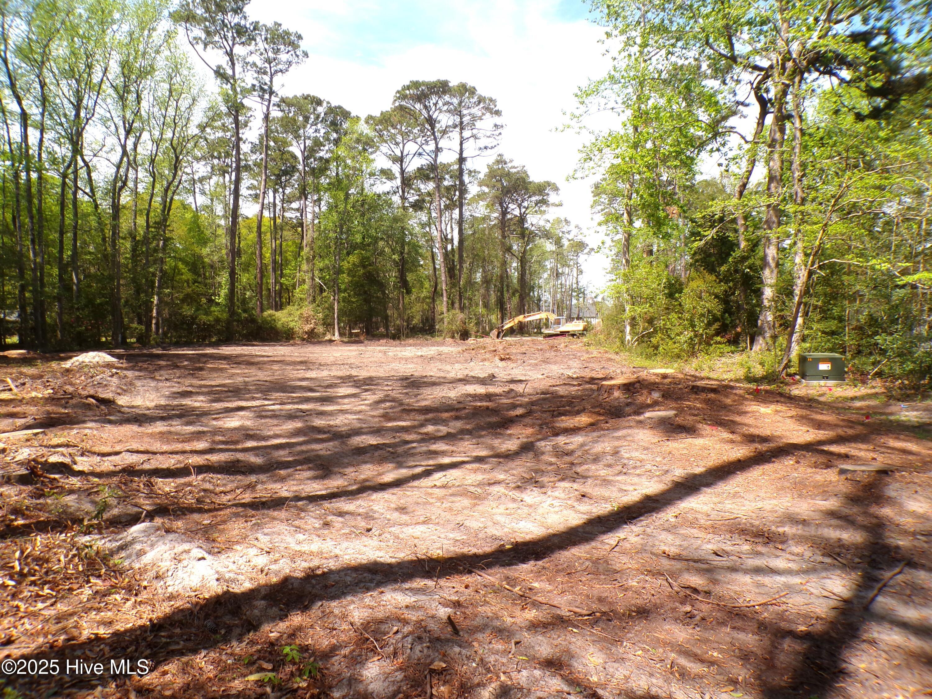 9136 Forest Drive Property Photo 6