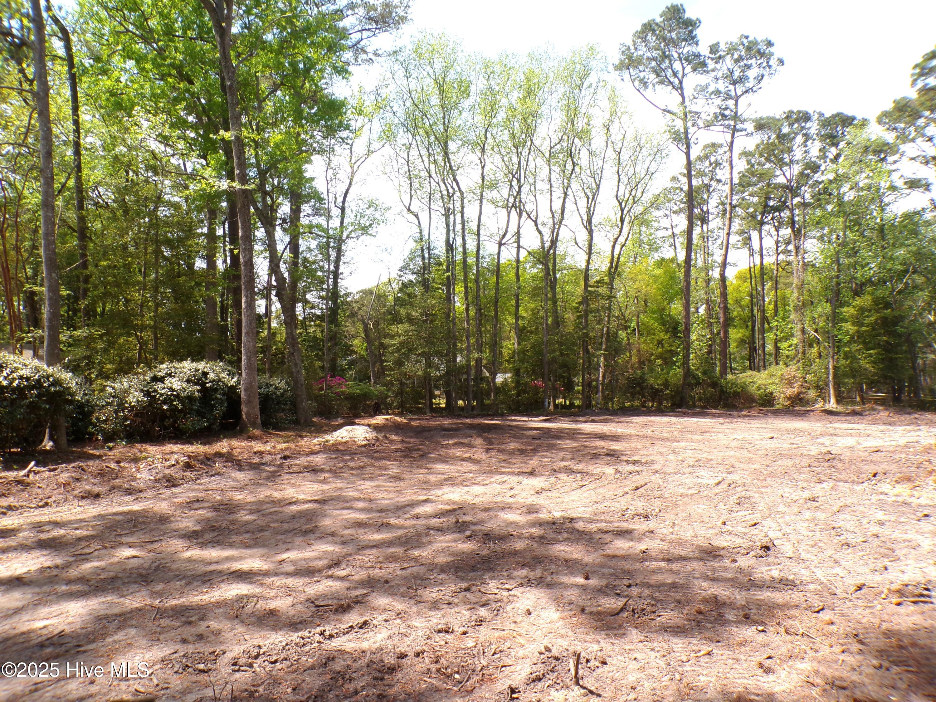 9136 Forest Drive Property Photo 7