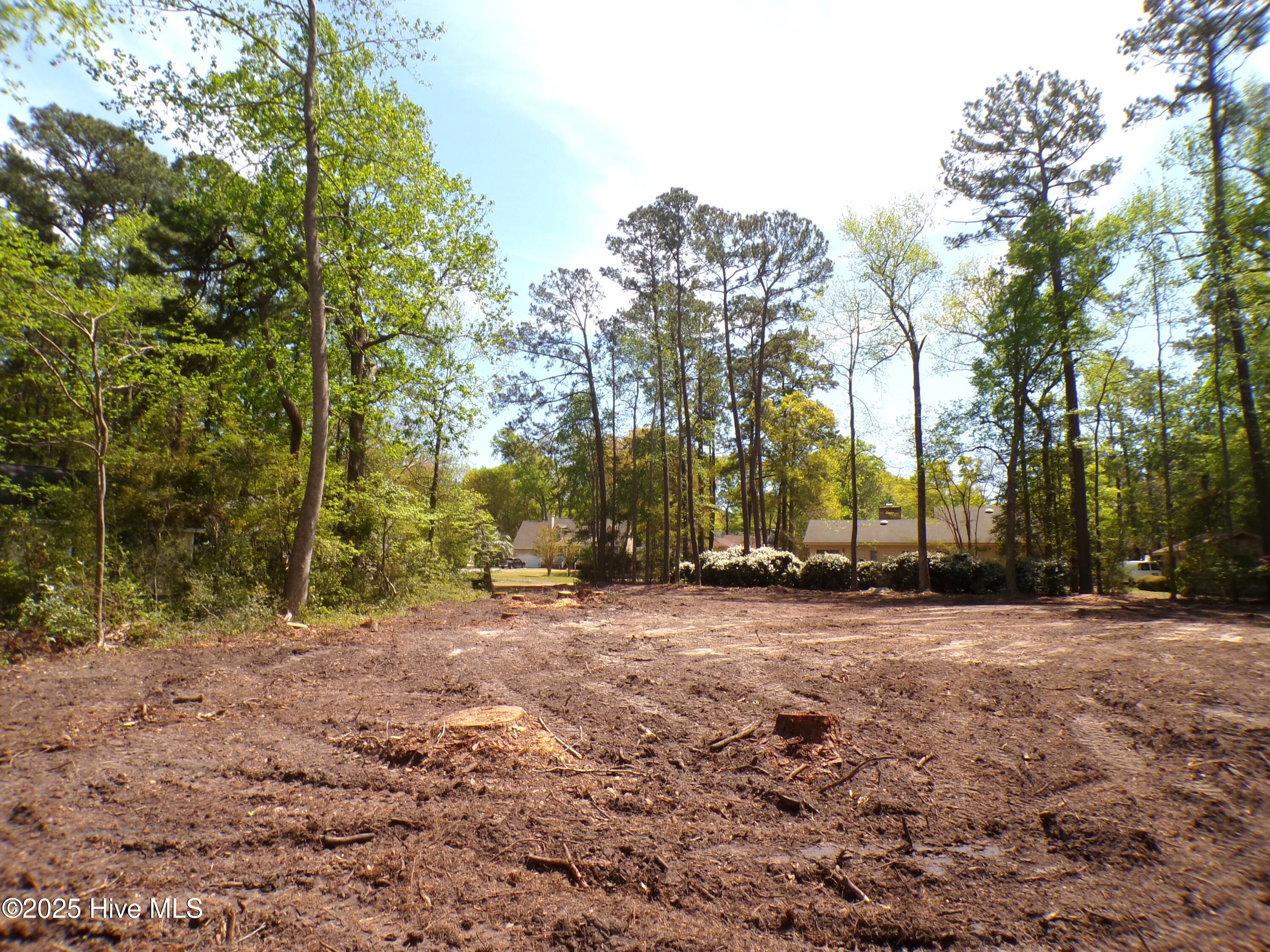 9136 Forest Drive Property Photo 9