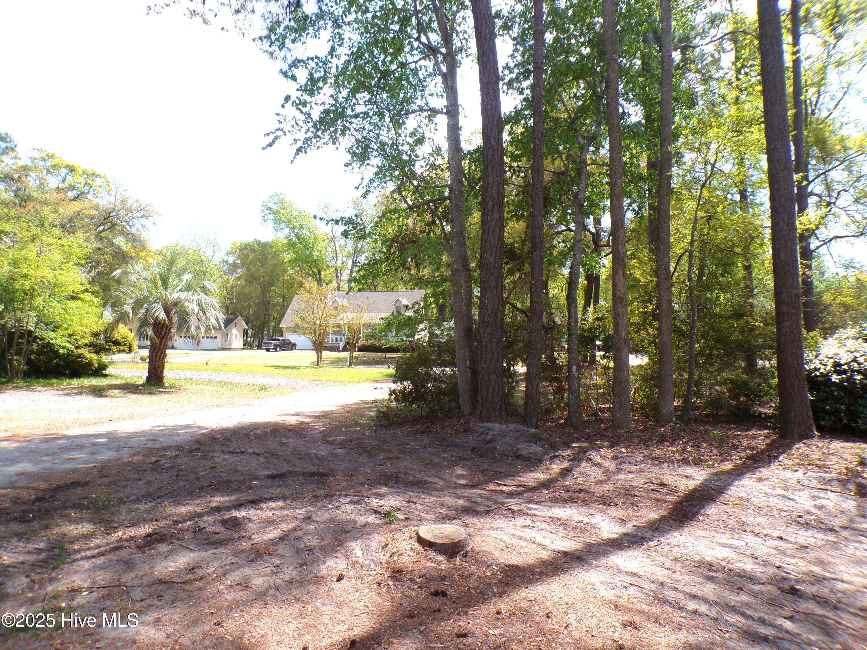 9136 Forest Drive Property Photo 11