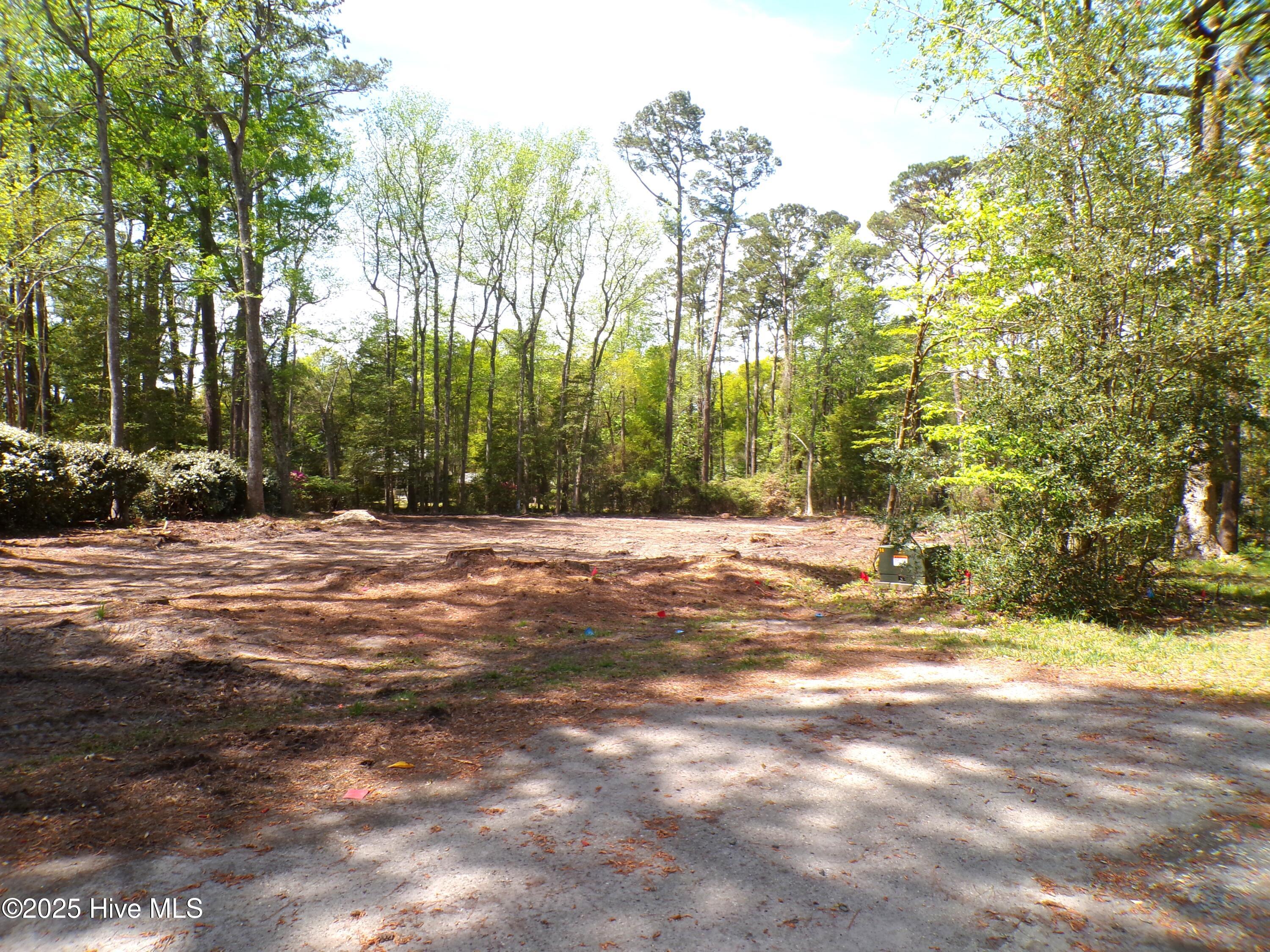 9136 Forest Drive Property Photo 15