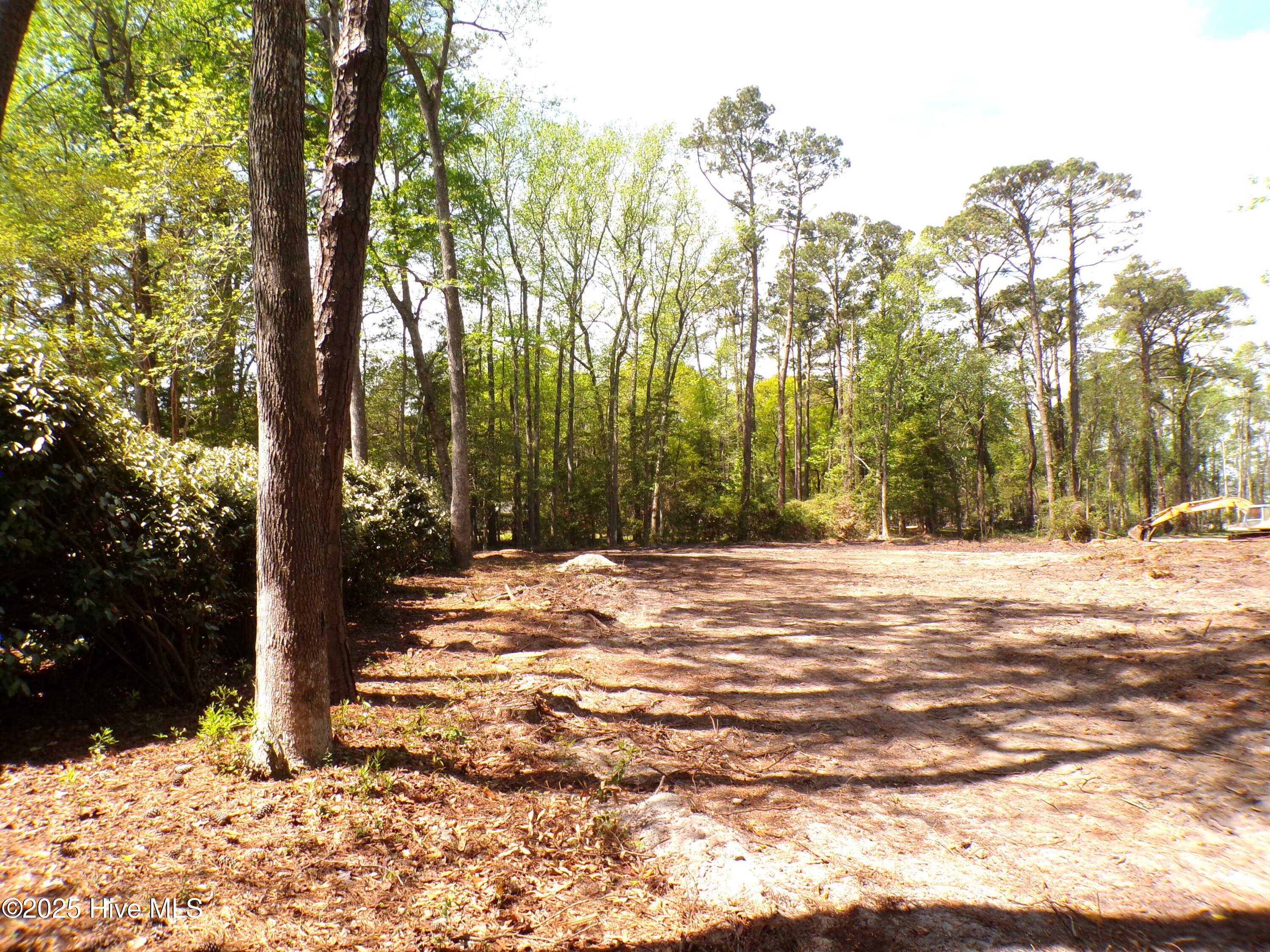 9136 Forest Drive Property Photo 16