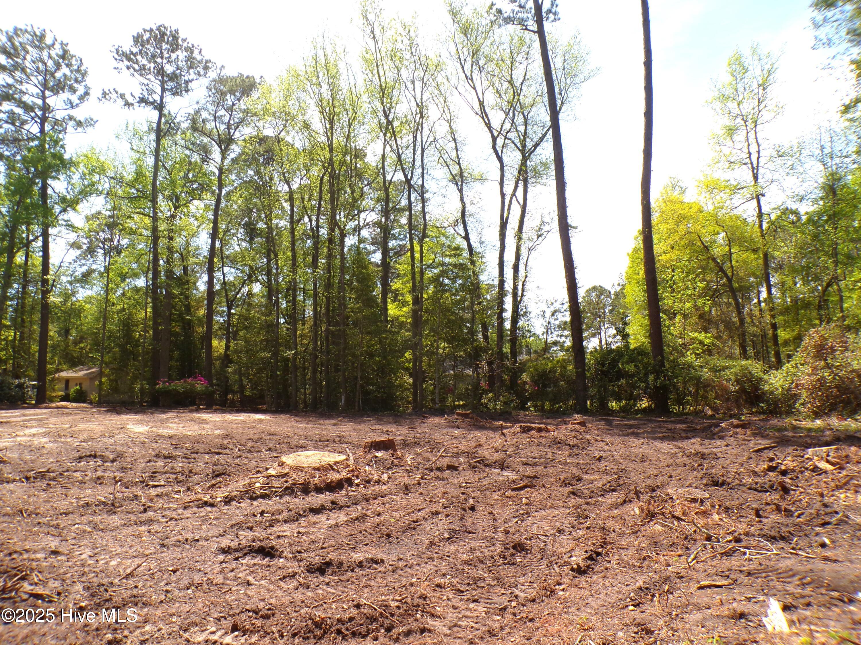 9136 Forest Drive Property Photo 19