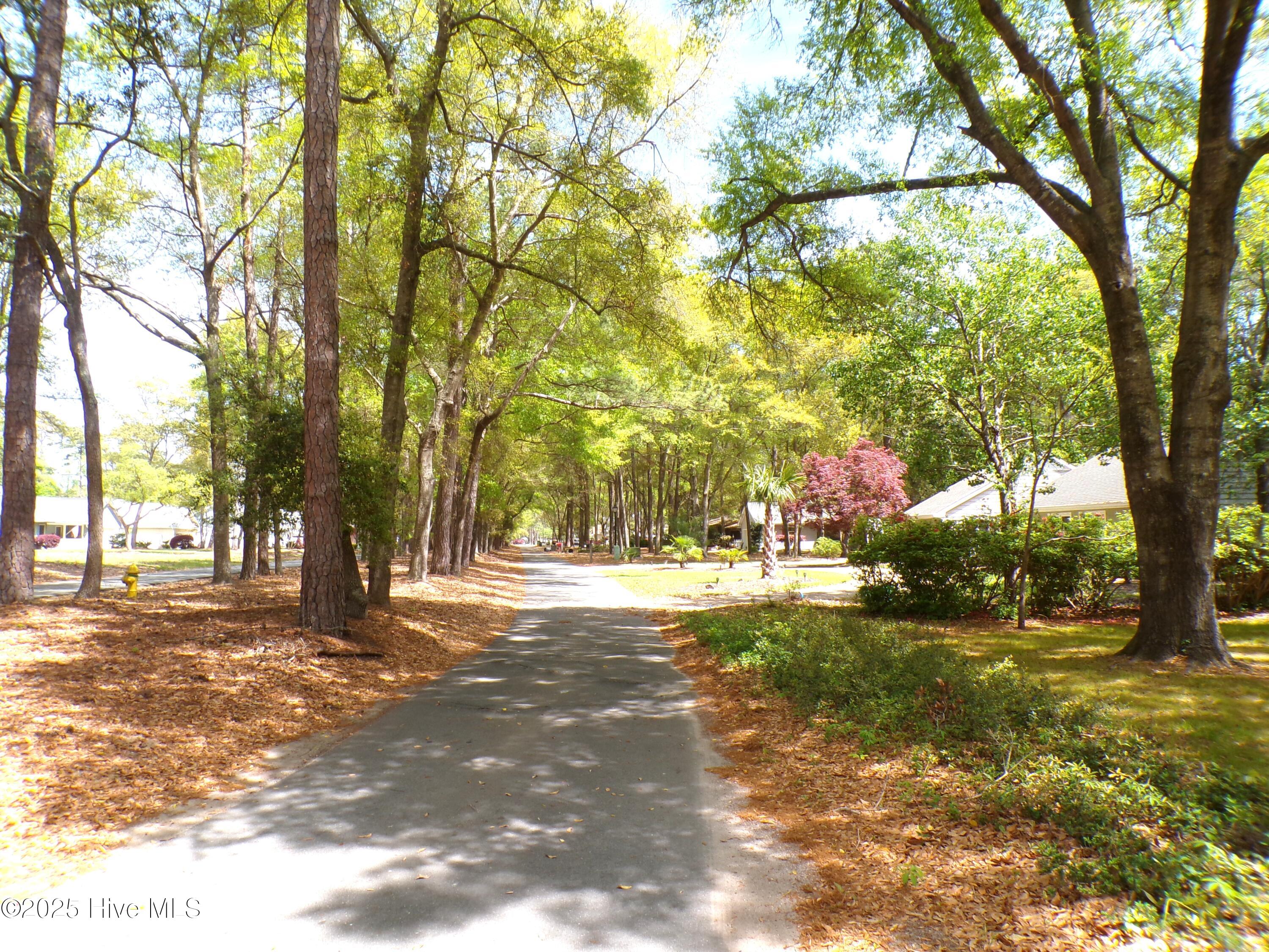 9136 Forest Drive Property Photo 23