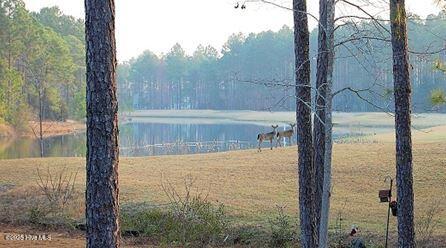 1410 Harbourside Drive 1409-1410 Property Photo 37