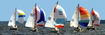 1410 Harbourside Drive 1409-1410 Property Photo 40