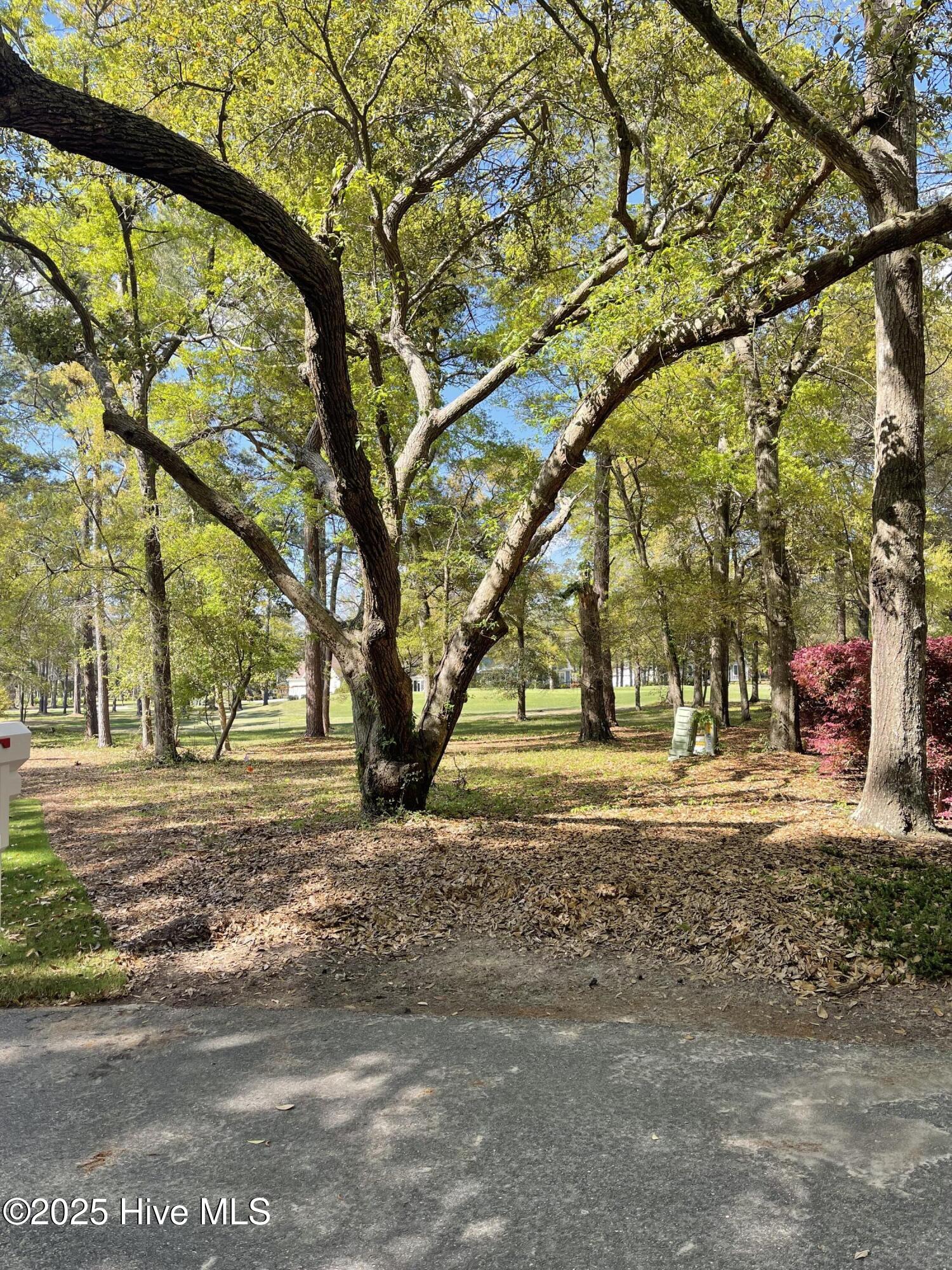 284 Atlantic Court Property Photo 4