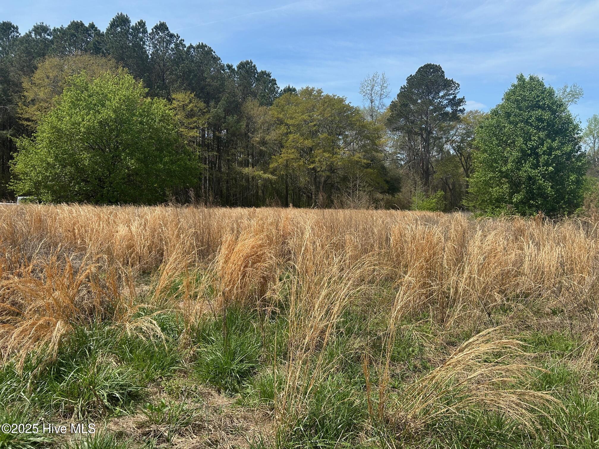 5106 Berry Tree Lane Property Photo 2