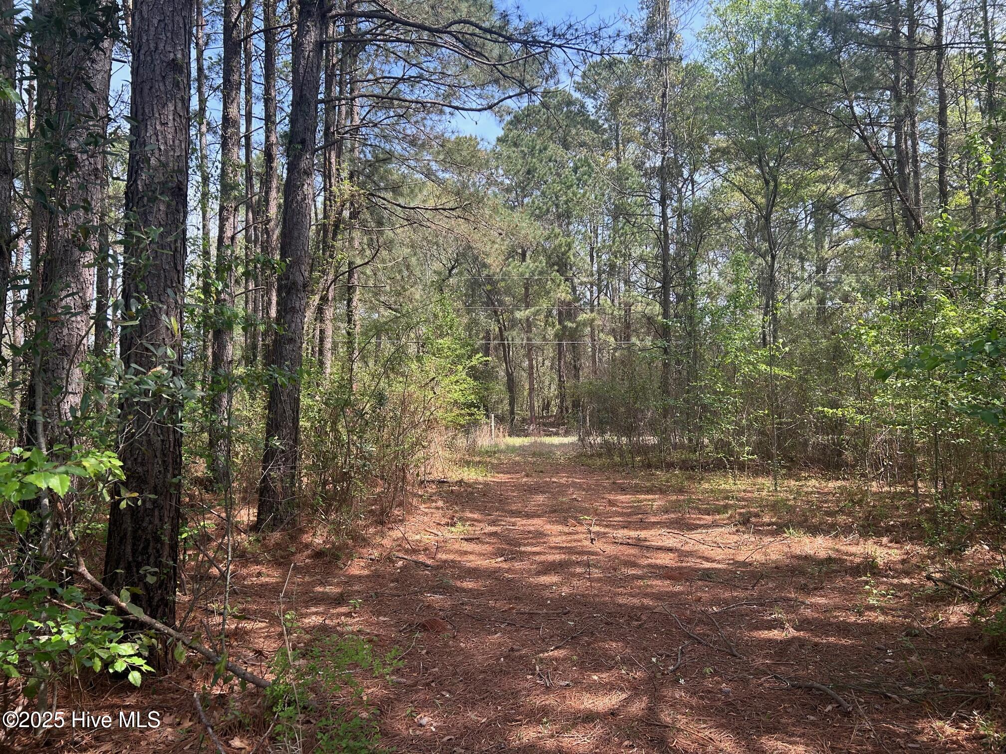 5106 Berry Tree Lane Property Photo 3