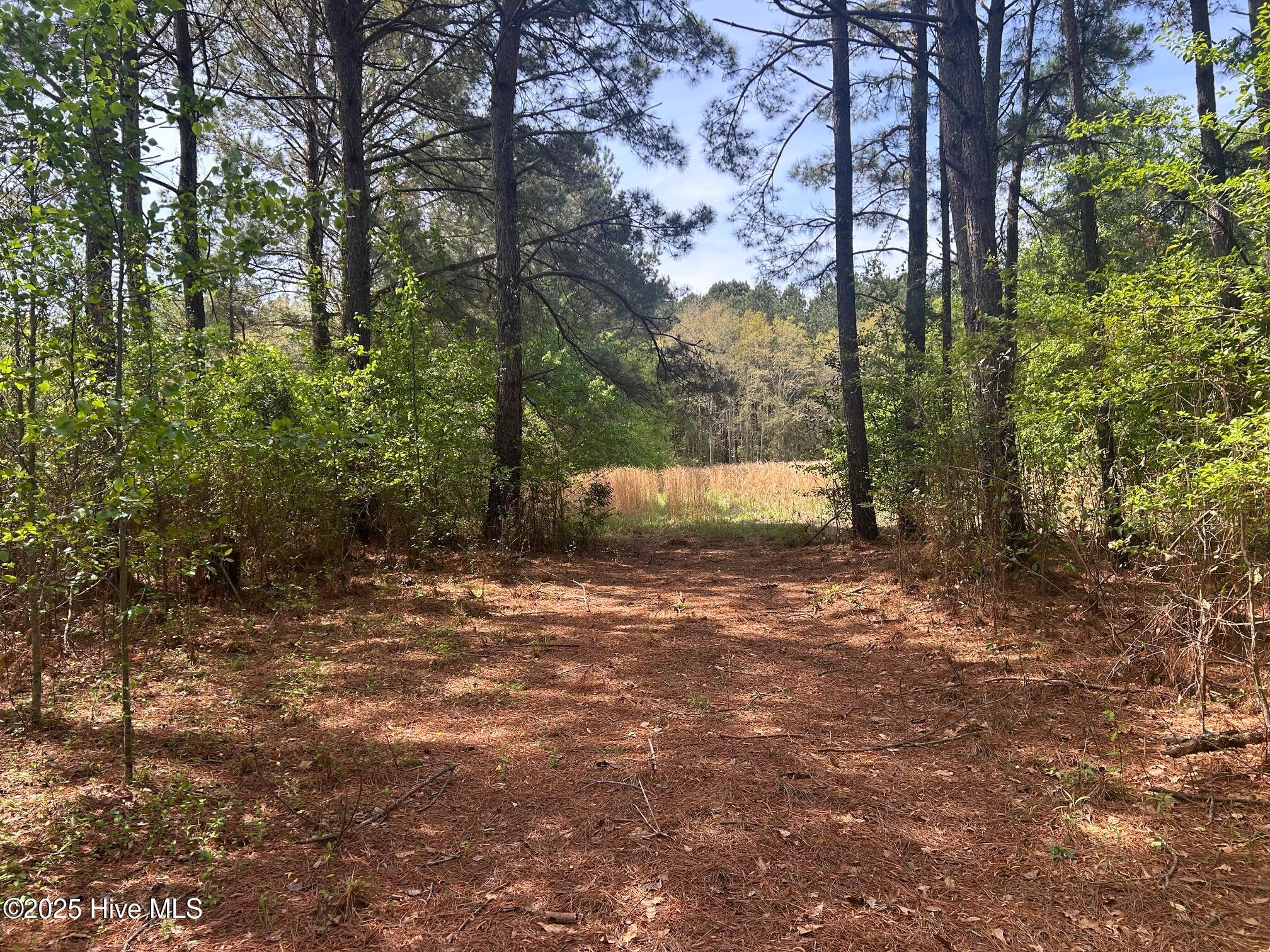 5106 Berry Tree Lane Property Photo 4