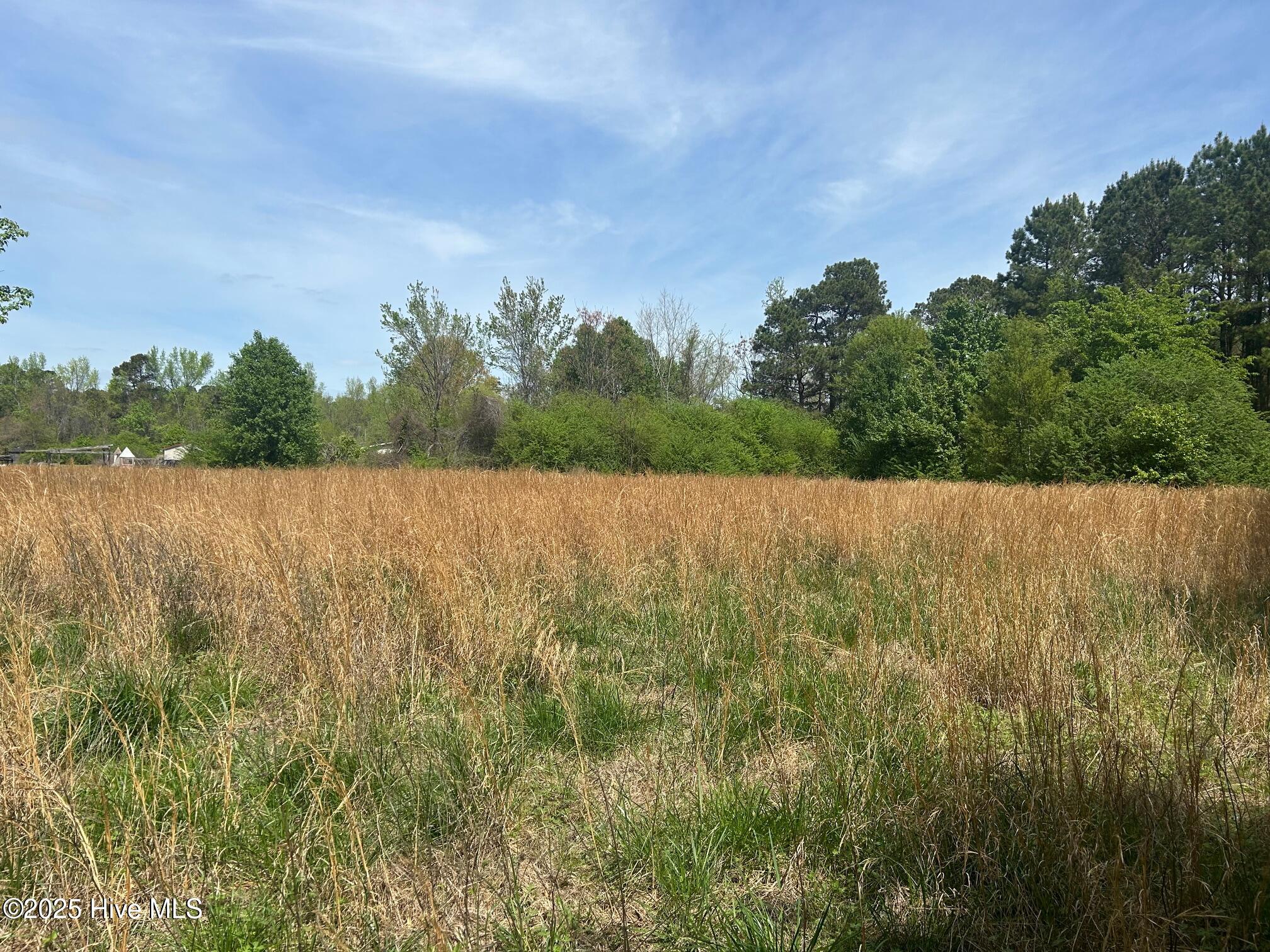 5106 Berry Tree Lane Property Photo 5