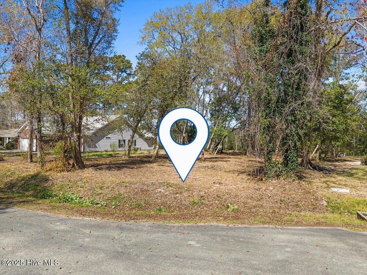 19 Sand Dollar Court Property Photo 5